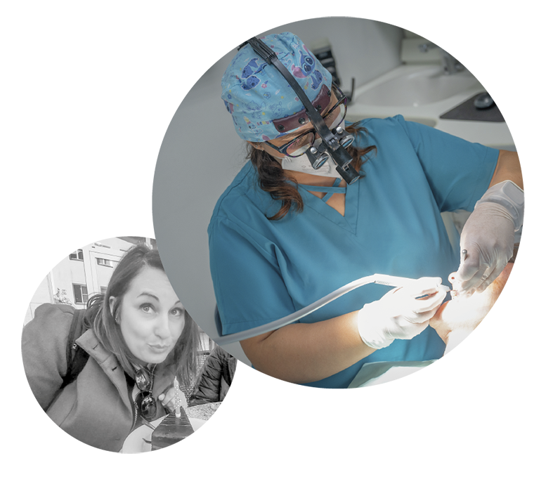 Ferdinando Stevenazzi Dentista